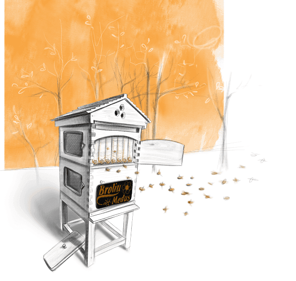 Broliu-medus-srautinis-avilys