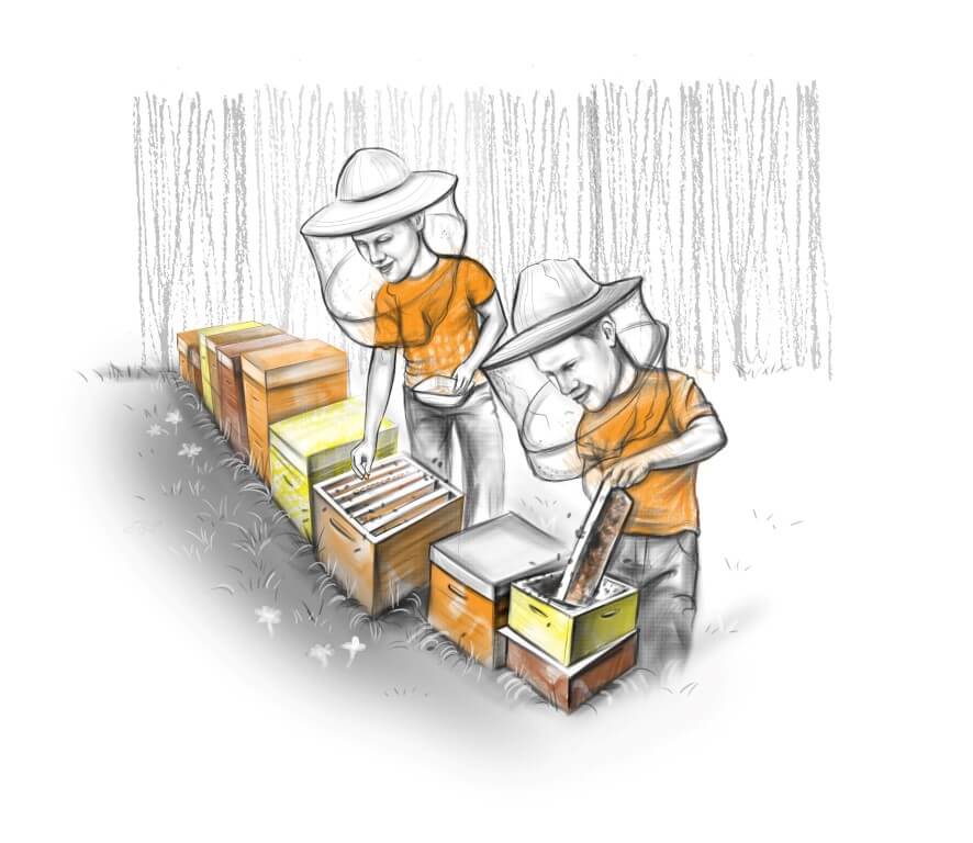 divi kilogrami bišu man, lūdzu.