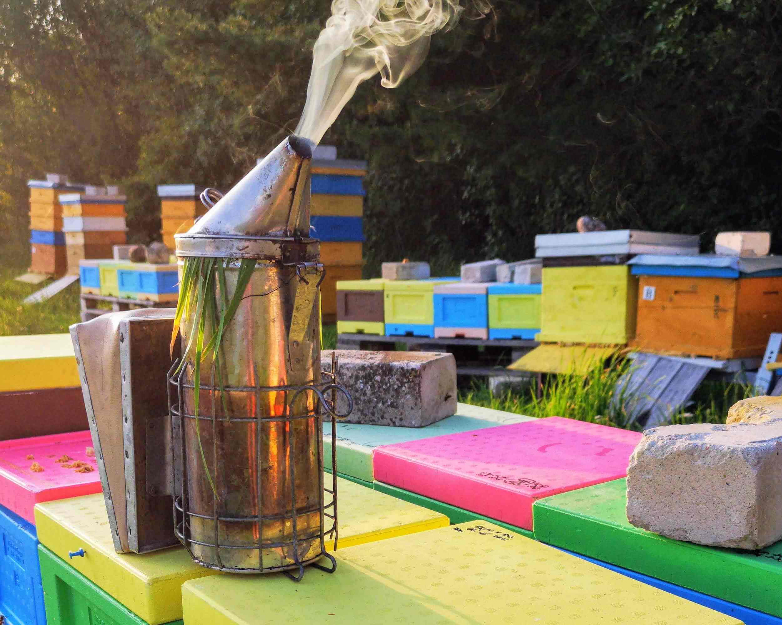 piesardzīgs iesācējs biškopis