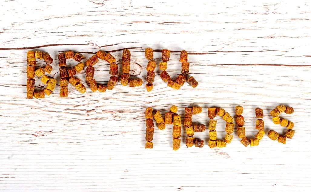 Bišu maize un ziedputekšņi. Kā lietot