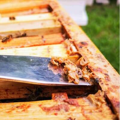 Dabisks antibiotiķis - bišu piķis-propolis