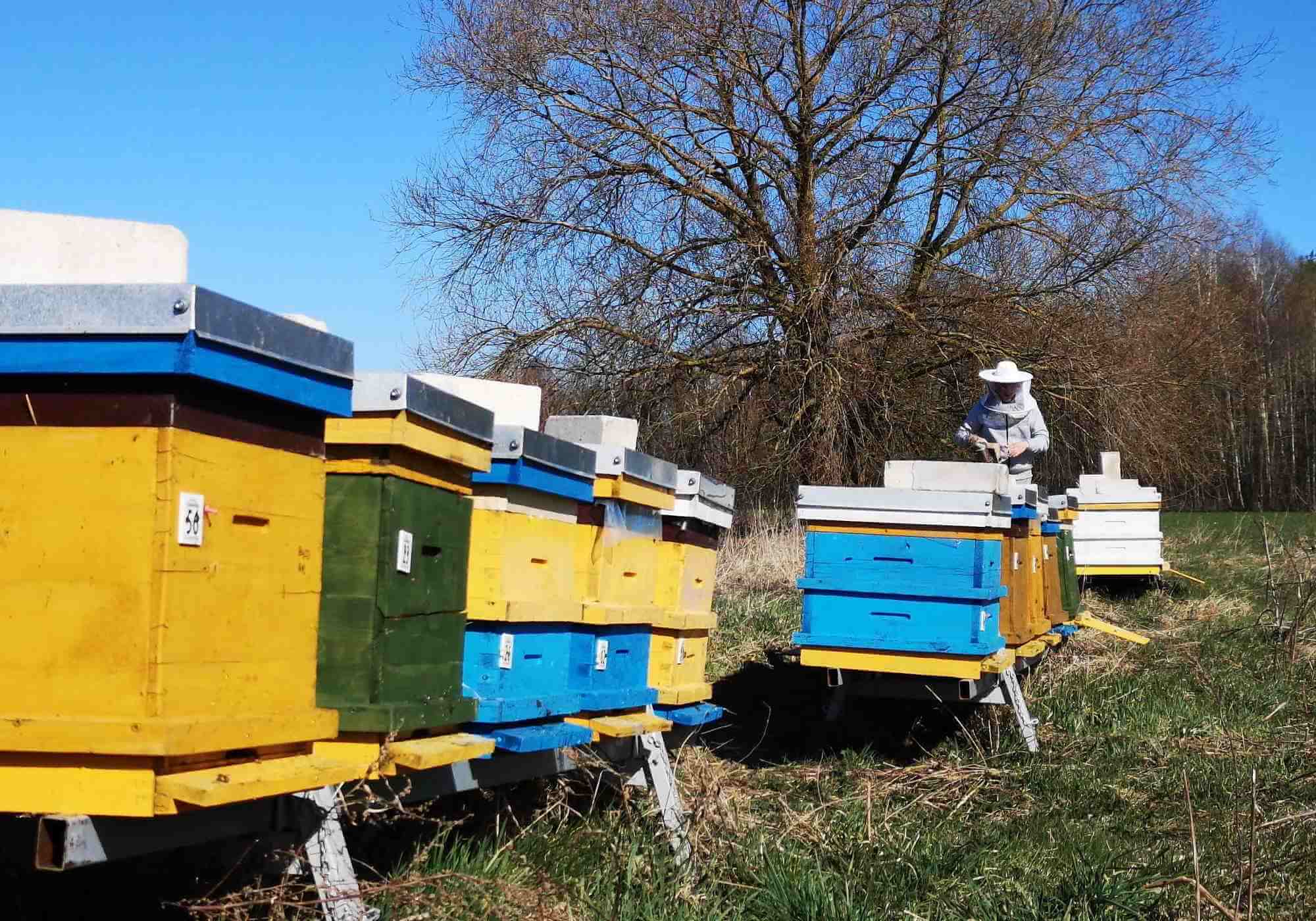 biškopja pirmais randiņš