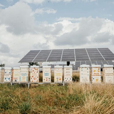 Ilgtspējīga uzņēmējdarbība