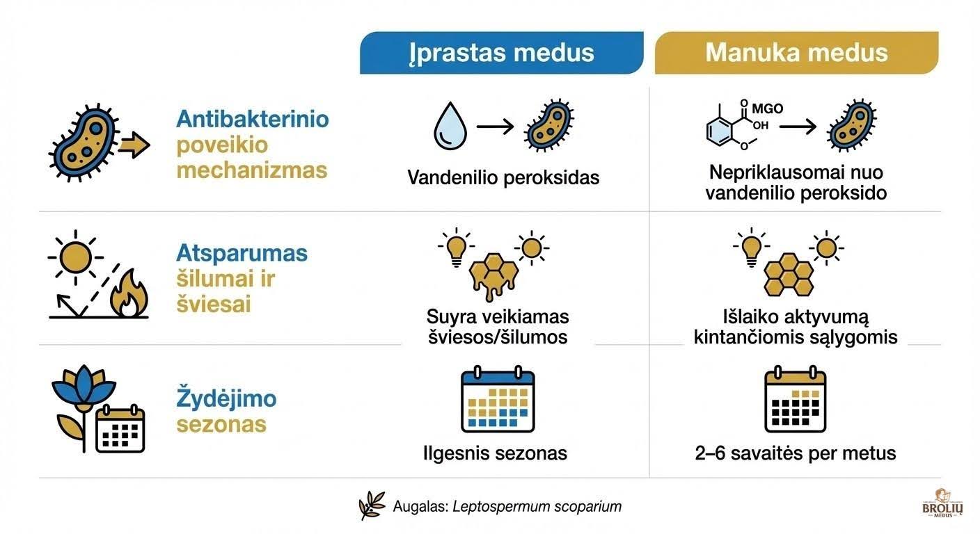 Manuka medus: kas tas ir, kādi ir tā ieguvumi veselībai, kāda ir MGO nozīme un kā to izvēlēties 2 iprastasmedus
