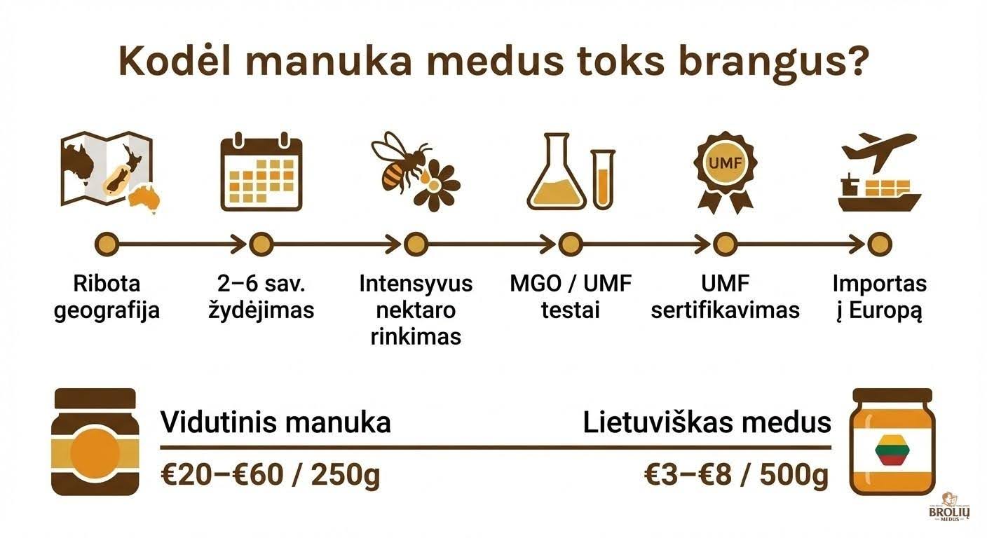 Manuka medus: kas tai, nauda sveikatai, MGO reikšmė ir kaip išsirinkti 4 kodelManuka