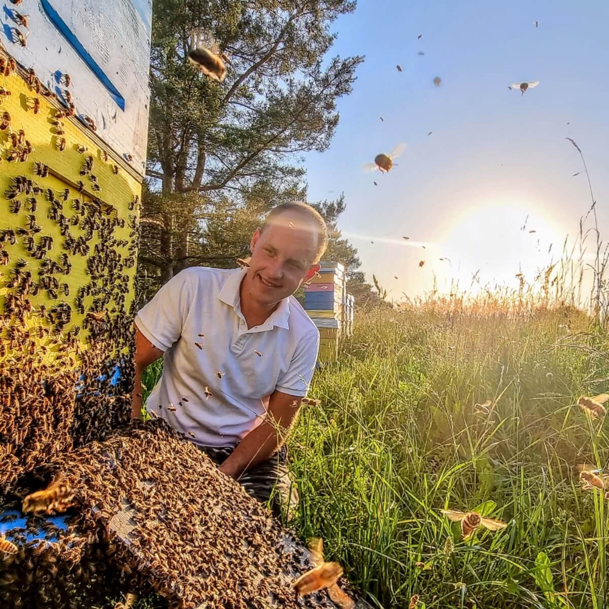 Manuka medus: kas tas ir, kādi ir tā ieguvumi veselībai, kāda ir MGO nozīme un kā to izvēlēties 1 square image 2 1
